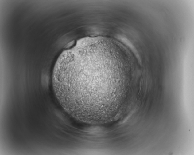 X0000088420063200706051219