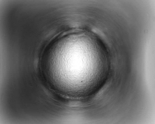 X0000088420066200706051219