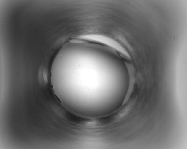 X0000088420068200706051219