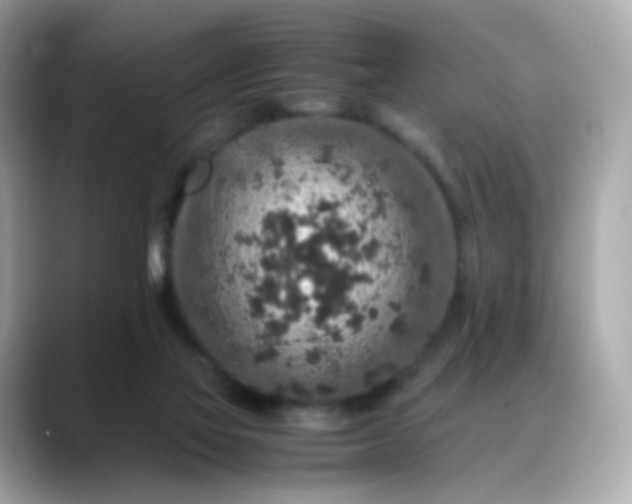 X0000088420069200706051219