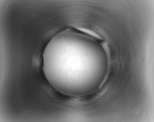 X0000088420072200706051219