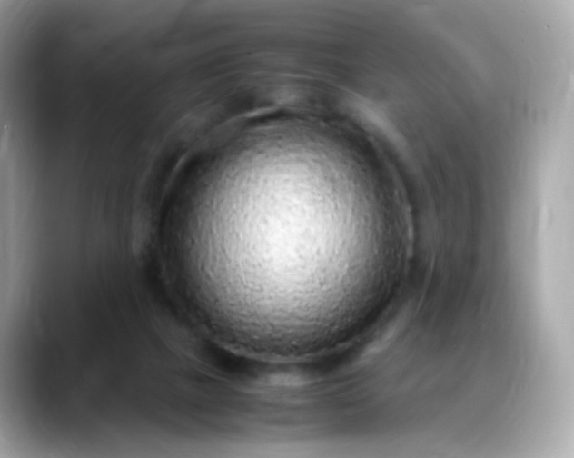 X0000088420073200706051219
