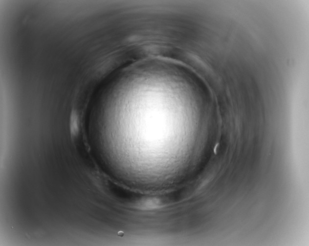 X0000088420075200706051219