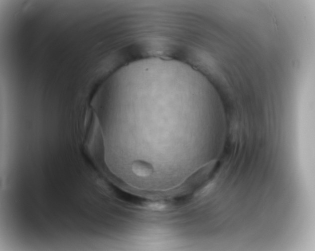 X0000088420076200706051219