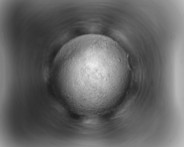 X0000088420077200706051219