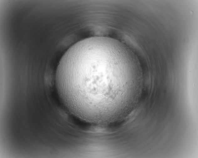 X0000088420078200706051219