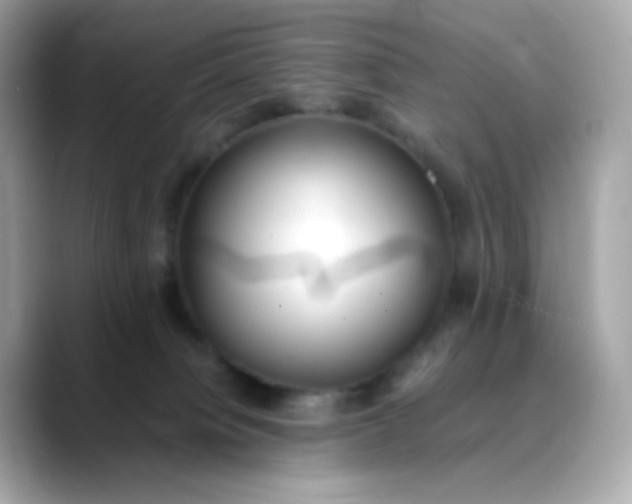 X0000088420084200706051219