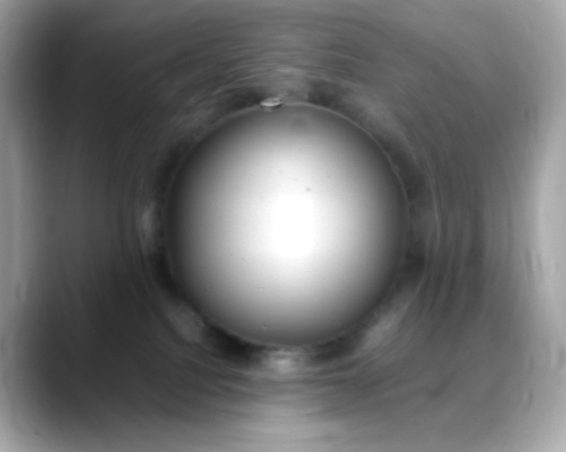 X0000088420088200706051219
