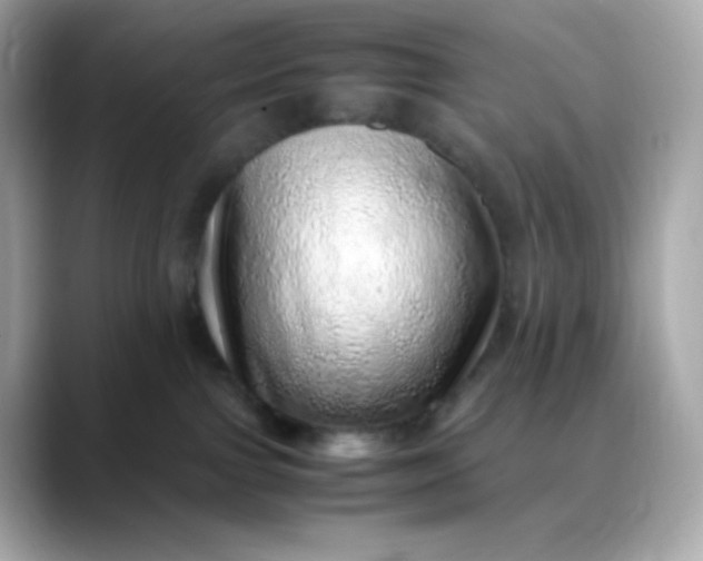X0000088420091200706051219
