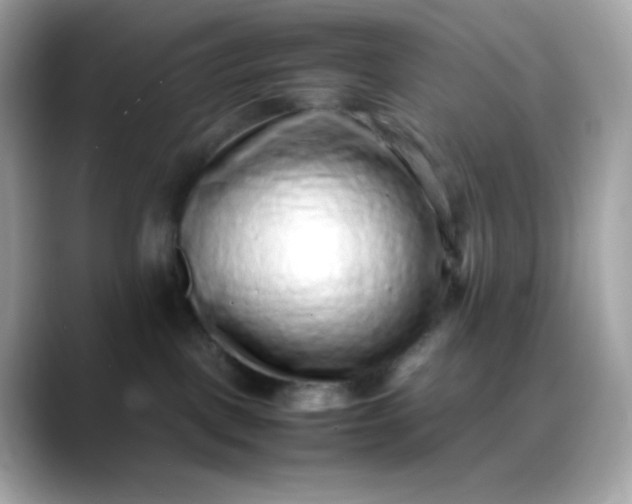 X0000088420093200706051219