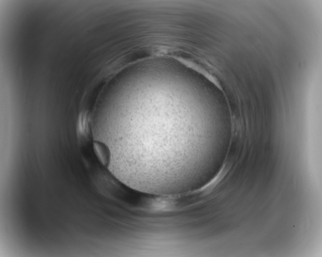 X0000088420094200706051219