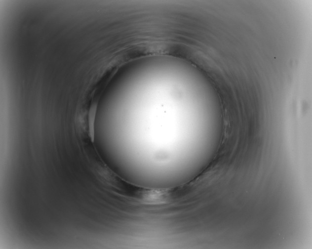 X0000088420096200706051219