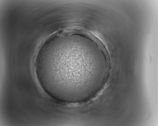 X0000088420097200706051219