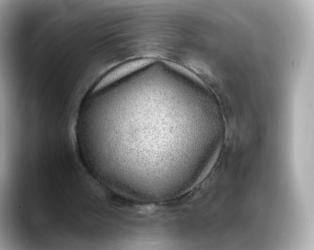 X0000088420098200706051219