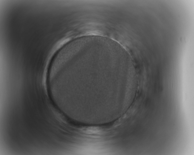 X0000088420104200706051219