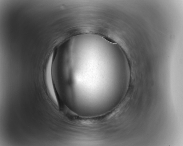 X0000088420105200706051219
