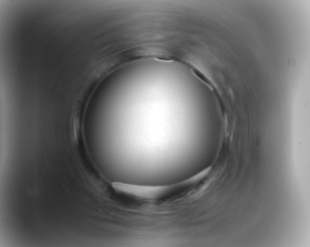 X0000088420109200706051219