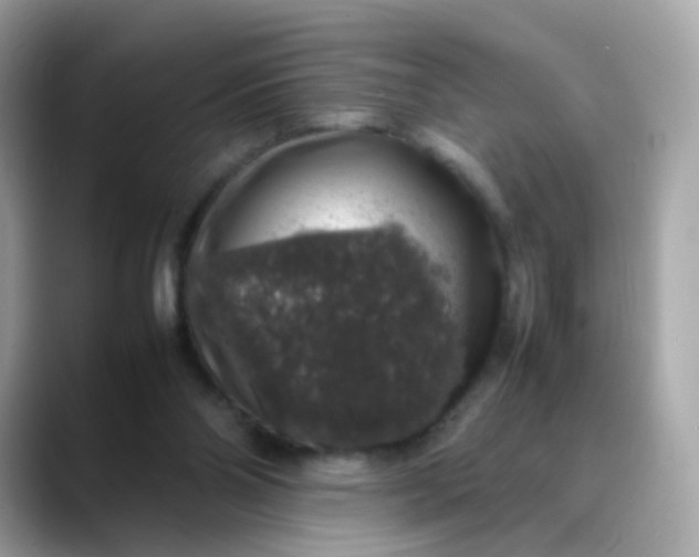 X0000088420110200706051219