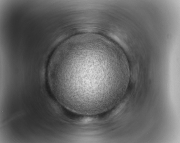 X0000088420111200706051219