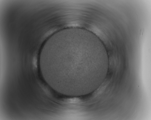 X0000088420112200706051219