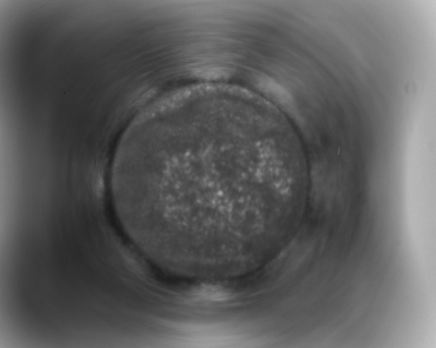 X0000088420114200706051219