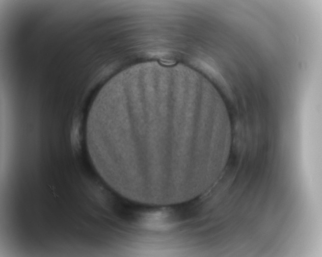 X0000088420116200706051219