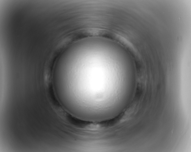 X0000088420119200706051218