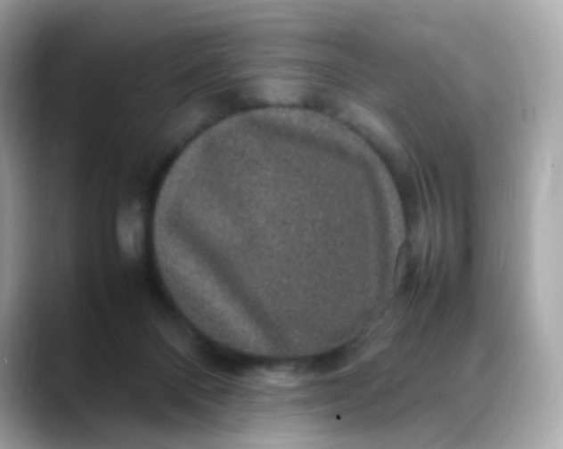 X0000088420120200706051218