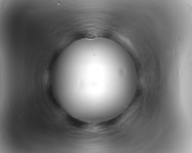 X0000088420121200706051218