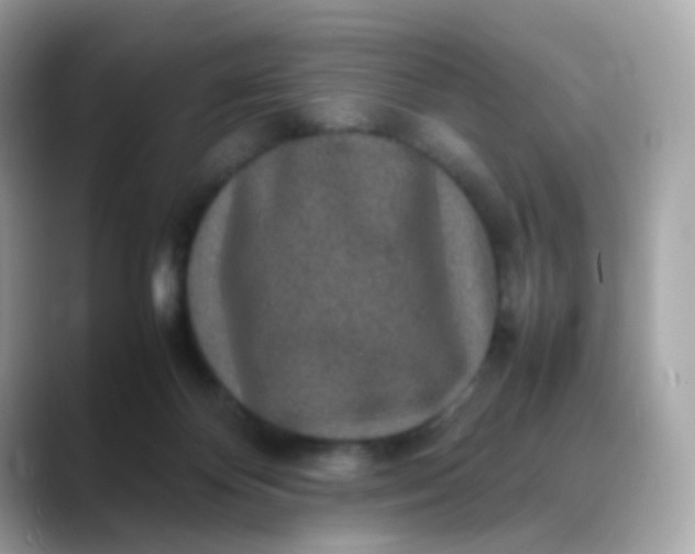 X0000088420124200706051218