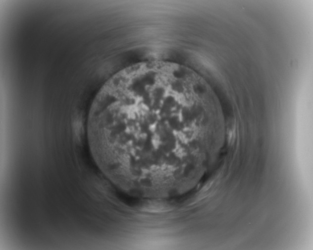 X0000088420127200706051218