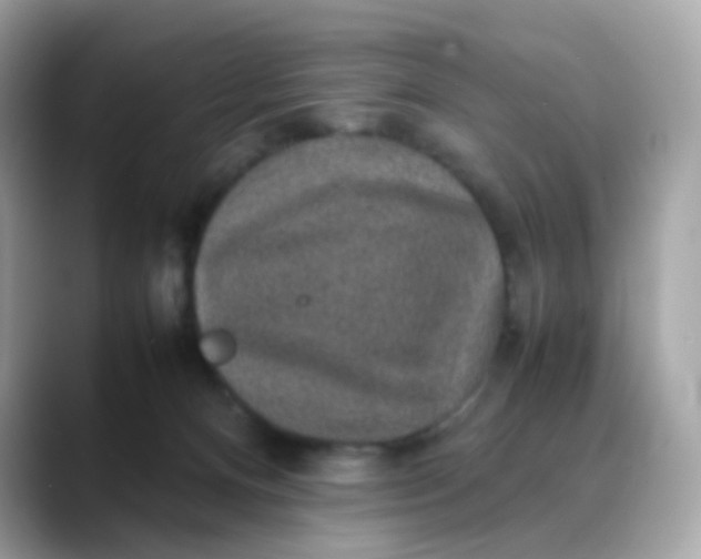 X0000088420128200706051218