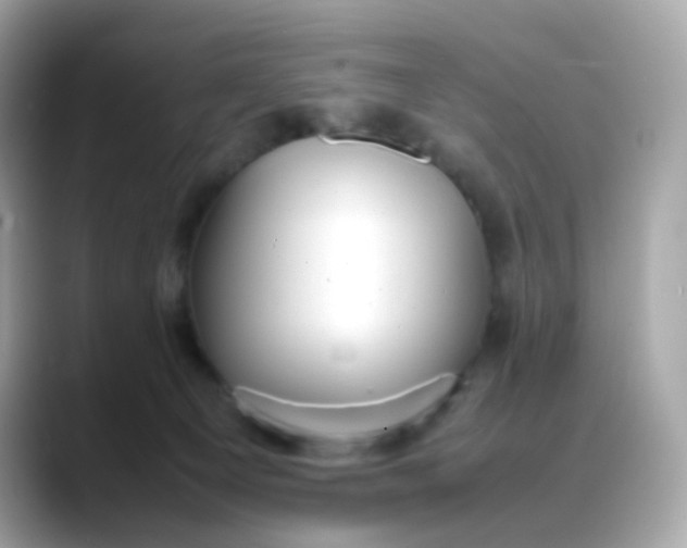 X0000088420129200706051218
