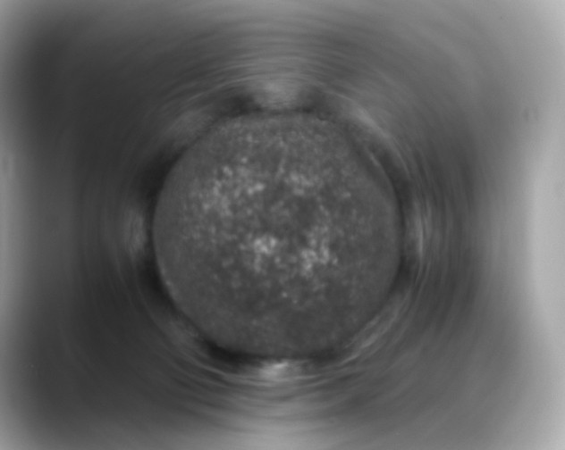 X0000088420130200706051218