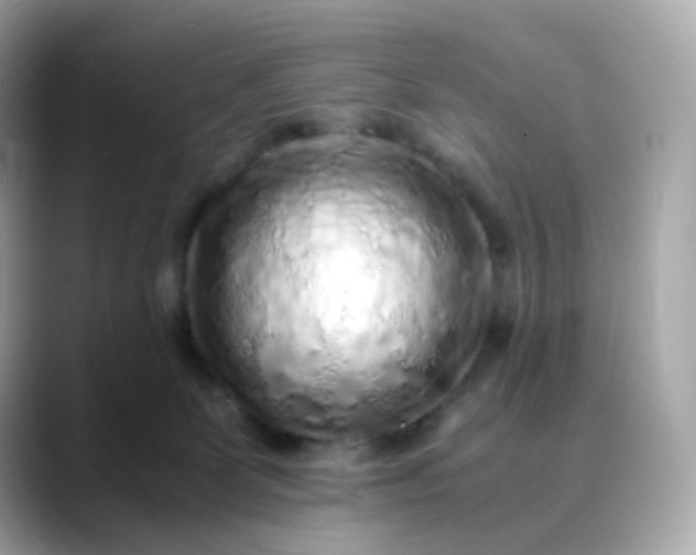 X0000088420131200706051218