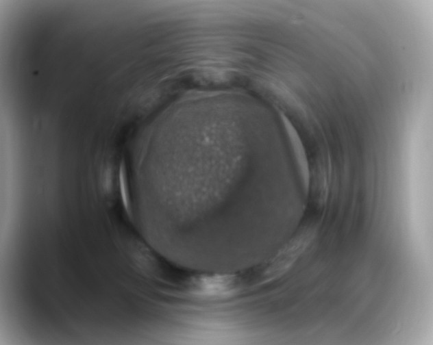 X0000088420134200706051218