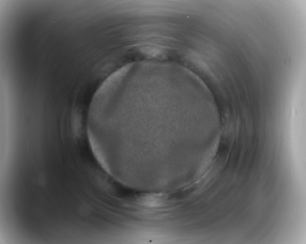 X0000088420136200706051218