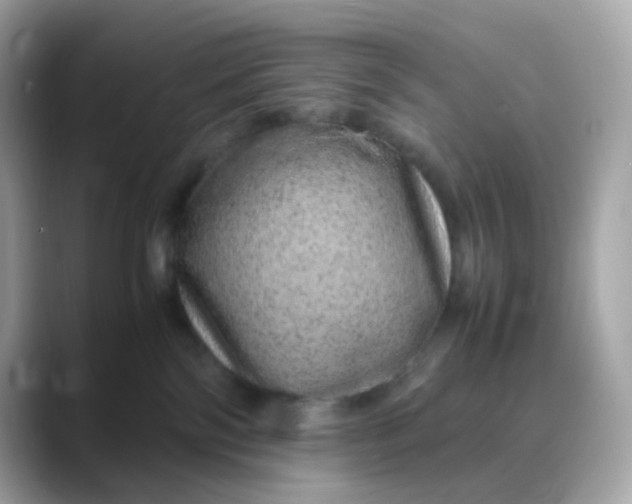 X0000088420138200706051218
