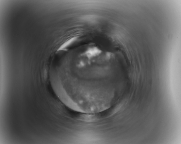 X0000088420139200706051218