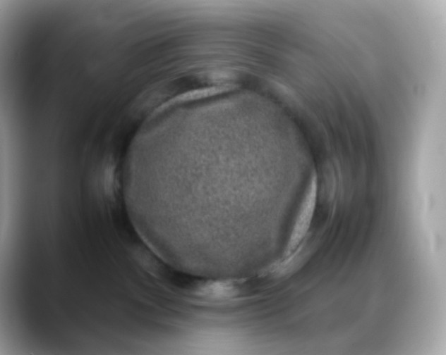 X0000088420140200706051218