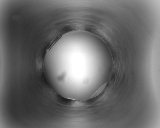 X0000088420141200706051218