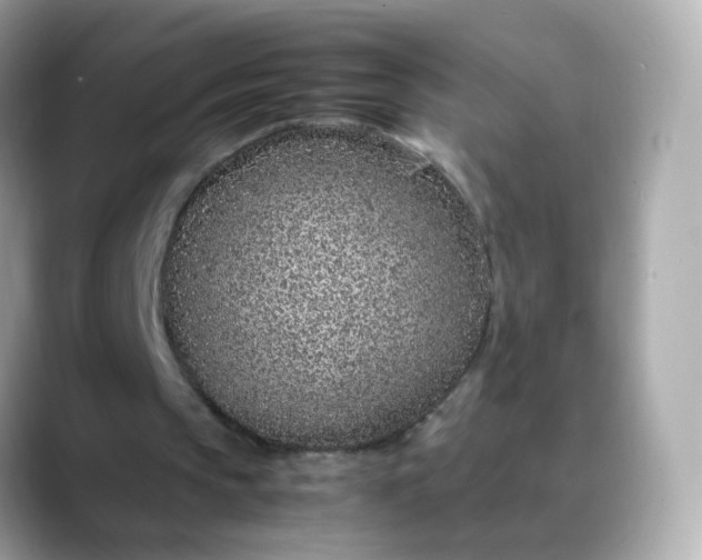 X0000088420145200706051218