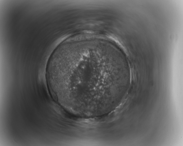 X0000088420147200706051218