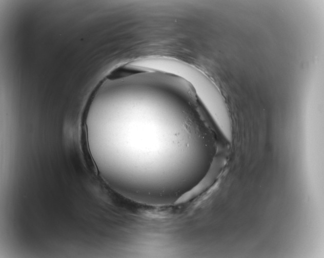 X0000088420148200706051218