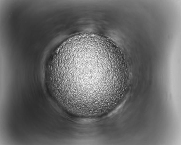 X0000088420149200706051218