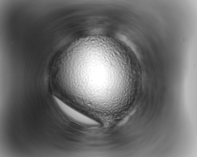 X0000088420153200706051218