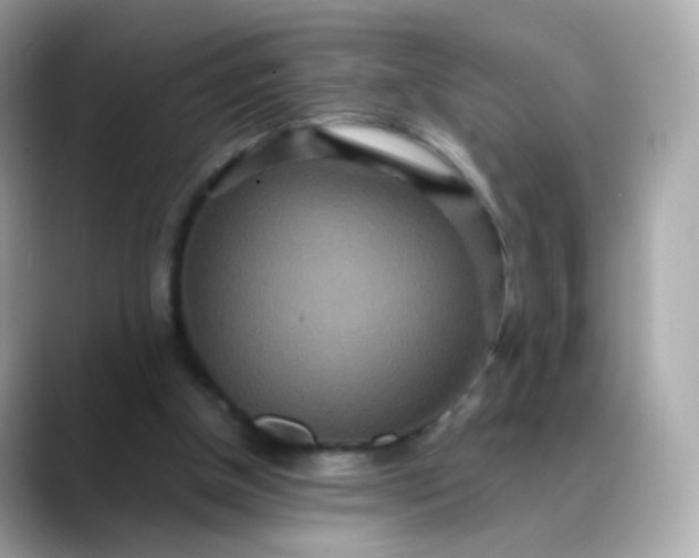 X0000088420154200706051218