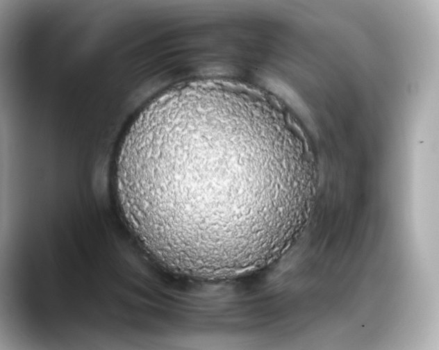 X0000088420155200706051218