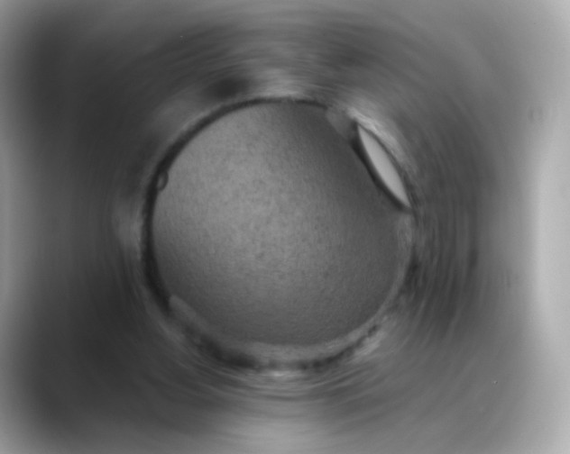 X0000088420156200706051218