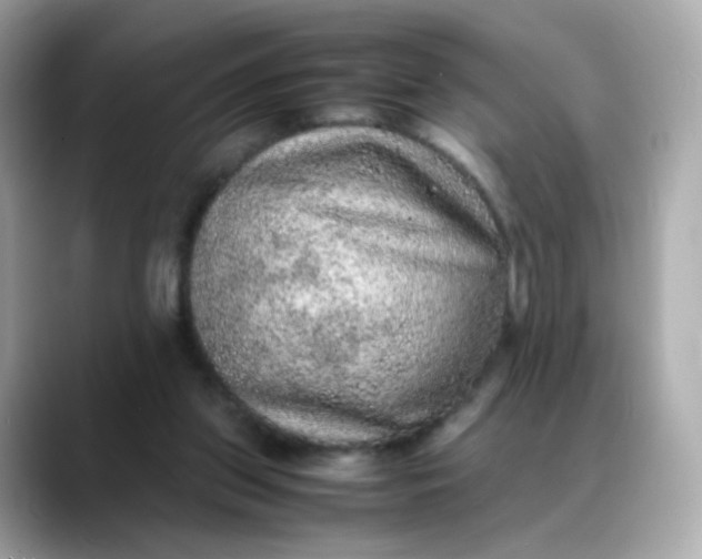 X0000088420157200706051218